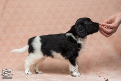 © all rights reserved - Photo by Lisanne Bakker