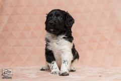 © all rights reserved - Photo by Lisanne Bakker