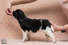 © all rights reserved - Photo by Lisanne Bakker