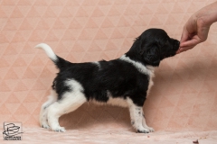 © all rights reserved - Photo by Lisanne Bakker