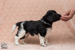 © all rights reserved - Photo by Lisanne Bakker