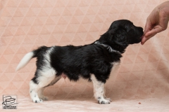 © all rights reserved - Photo by Lisanne Bakker