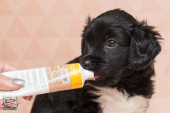 © all rights reserved - Photo by Lisanne Bakker