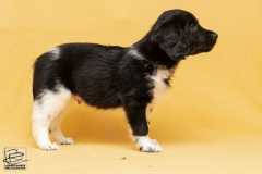 © all rights reserved - Photo by Lisanne Bakker