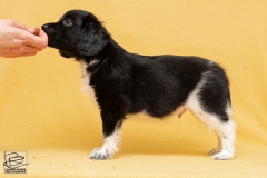 © all rights reserved - Photo by Lisanne Bakker