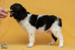 © all rights reserved - Photo by Lisanne Bakker