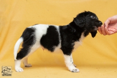 © all rights reserved - Photo by Lisanne Bakker