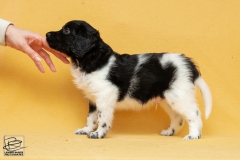 © all rights reserved - Photo by Lisanne Bakker