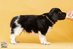 © all rights reserved - Photo by Lisanne Bakker