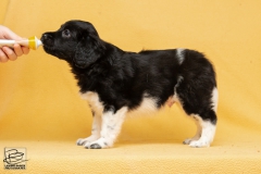 © all rights reserved - Photo by Lisanne Bakker