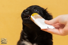 © all rights reserved - Photo by Lisanne Bakker