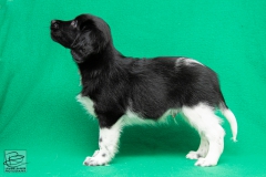 © all rights reserved - Photo by Lisanne Bakker