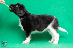 © all rights reserved - Photo by Lisanne Bakker