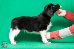 © all rights reserved - Photo by Lisanne Bakker