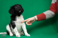 © all rights reserved - Photo by Lisanne Bakker