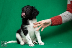 © all rights reserved - Photo by Lisanne Bakker