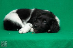 © all rights reserved - Photo by Lisanne Bakker