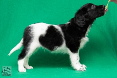 © all rights reserved - Photo by Lisanne Bakker