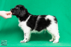 © all rights reserved - Photo by Lisanne Bakker