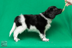 © all rights reserved - Photo by Lisanne Bakker