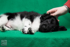 © all rights reserved - Photo by Lisanne Bakker