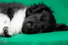 © all rights reserved - Photo by Lisanne Bakker