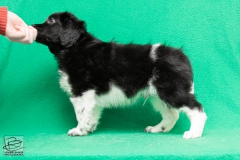 © all rights reserved - Photo by Lisanne Bakker