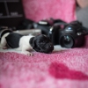 © all rights reserved - Photo by Lisanne Bakker
