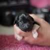 © all rights reserved - Photo by Lisanne Bakker