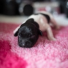 © all rights reserved - Photo by Lisanne Bakker