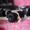 © all rights reserved - Photo by Lisanne Bakker