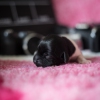 © all rights reserved - Photo by Lisanne Bakker