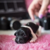 © all rights reserved - Photo by Lisanne Bakker