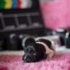 © all rights reserved - Photo by Lisanne Bakker
