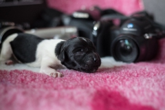 © all rights reserved - Photo by Lisanne Bakker