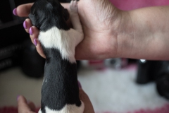 © all rights reserved - Photo by Lisanne Bakker