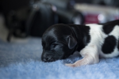 © all rights reserved - Photo by Lisanne Bakker