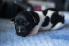 © all rights reserved - Photo by Lisanne Bakker