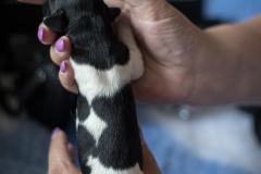 © all rights reserved - Photo by Lisanne Bakker