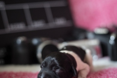 © all rights reserved - Photo by Lisanne Bakker