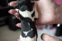 © all rights reserved - Photo by Lisanne Bakker