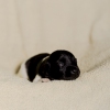 © all rights reserved - Photo by Lisanne Bakker