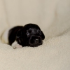© all rights reserved - Photo by Lisanne Bakker