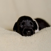© all rights reserved - Photo by Lisanne Bakker
