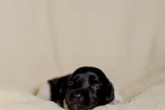 © all rights reserved - Photo by Lisanne Bakker