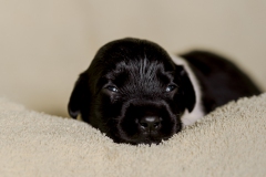 © all rights reserved - Photo by Lisanne Bakker