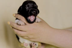 © all rights reserved - Photo by Lisanne Bakker