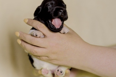 © all rights reserved - Photo by Lisanne Bakker