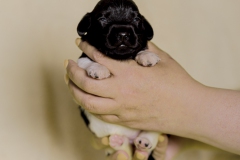 © all rights reserved - Photo by Lisanne Bakker