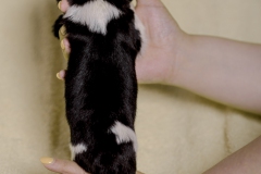 © all rights reserved - Photo by Lisanne Bakker